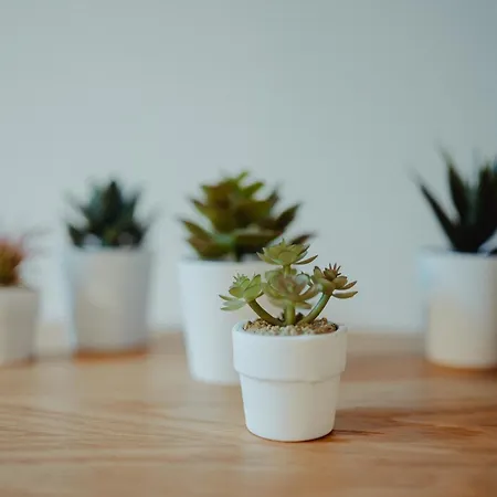 Apartamento Bufalini Boutique *